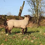 Manoir De La Blonnerie