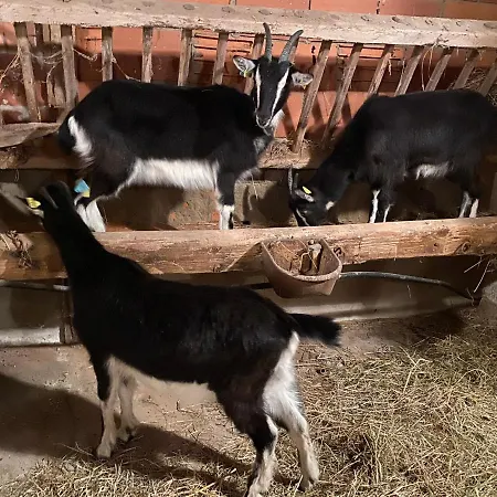 Manoir De La Blonnerie Vellèches