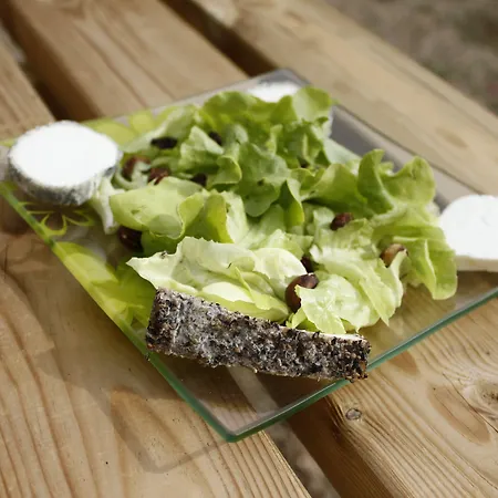 Manoir De La Blonnerie Vellèches