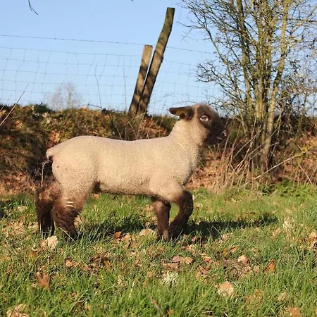 Manoir De La Blonnerie