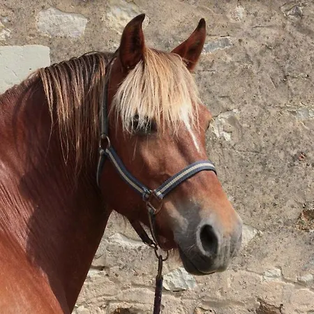 Bed & Breakfast Manoir De La Blonnerie Vellèches